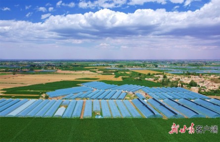 甘肃武威：党建引领推动村级集体经济增量提质