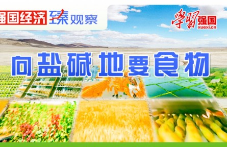 强国经济“臻”观察|向盐碱地要食物