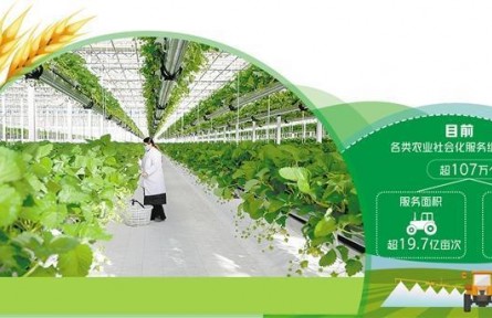 社会化服务破解种地难题