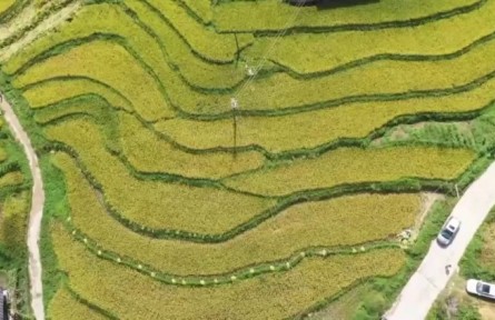 乡村行 看振兴|科技赋能农业现代化发展