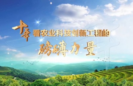 十年，看农业科技创新工程的磅礴力量