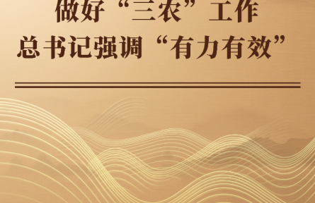 做好“三农”工作 总书记强调“有力有效”