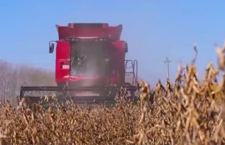 我国农业农村经济运行稳中向好 我国粮食大面积单产提升全面启动
