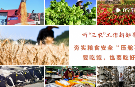 听“三农”工作新部署｜夯实粮食安全“压舱石”：要吃饱，也要吃好