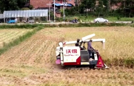 福建：贯彻落实“三农”工作决策部署 有力有效推进乡村全面振兴