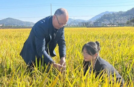 选调生董滢璐：土地从不辜负每一颗奋斗的种子