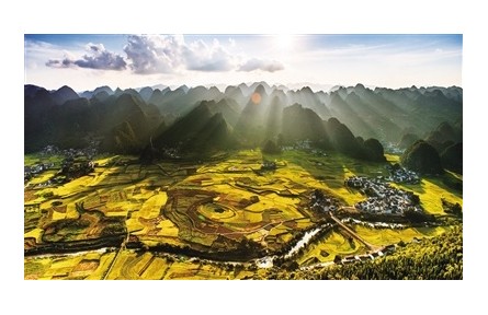 科技赋能生态 青山成就“金山”
