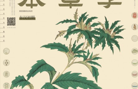 中国古代重要科技发明创造|药圃无凡草 是草皆为药——本草学