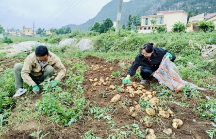 选调生蒋炎廷：离泥土越近越安心