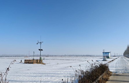 山东齐河：年产粮22亿斤背后的“粮”事与本事