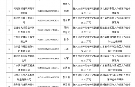 人力资源和社会保障部公布一批拖欠农民工工资失信联合惩戒对象名单