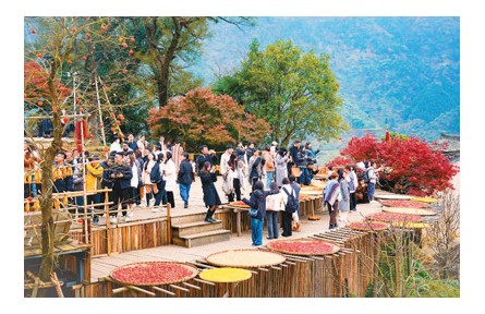 数字传播带火乡村旅游