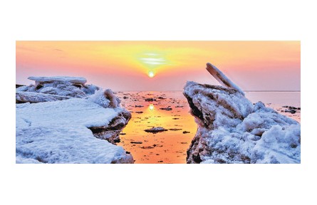修复盐碱地 守护红海滩