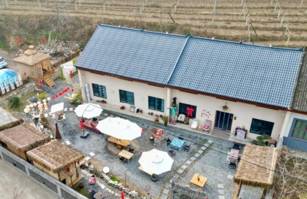 生态优势助力秦岭山村产业振兴