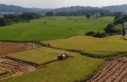 我国农业种质资源家底全面摸清