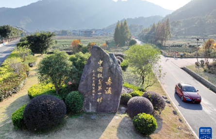 党建引领 产业做强——“中国扶贫第一村”福建赤溪乡村振兴蹲点观察