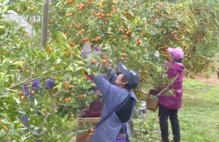 2023年农发行普惠金融贷款同比增幅26.32%