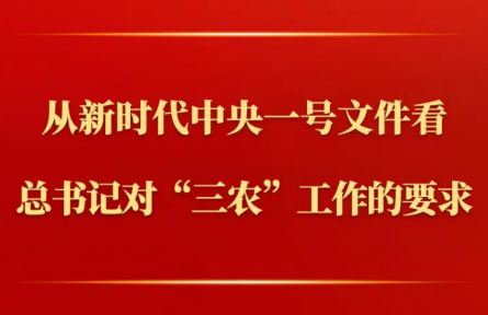 第一观察 | 从新时代中央一号文件看总书记对“三农”工作的要求