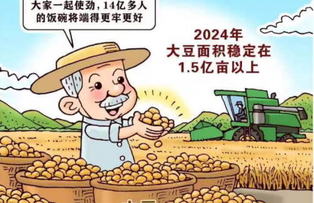 新华鲜报丨中国稳粮新看点！ “金豆豆”1.5亿亩以上