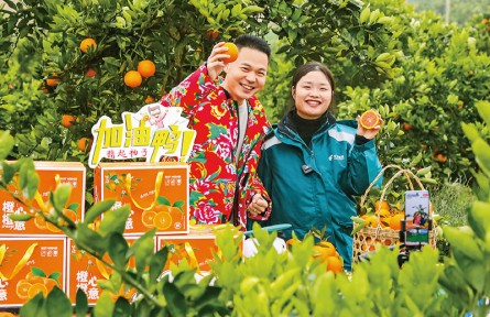 在推进农业绿色发展中深化农村经营体制改革