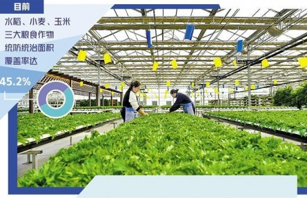 农业绿色底色更鲜明