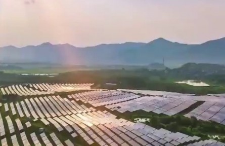 山东：经济大省“挑大梁” 扛起新担当 作出新贡献