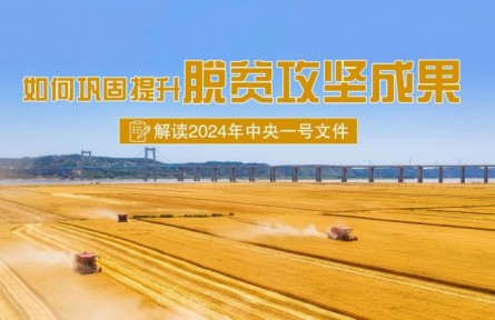 专家快问快答：如何巩固提升脱贫攻坚成果？