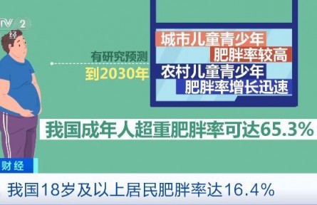 “不吃主食”“光靠运动”是减肥误区！