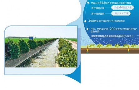 春灌让小麦喝足“第一口水”
