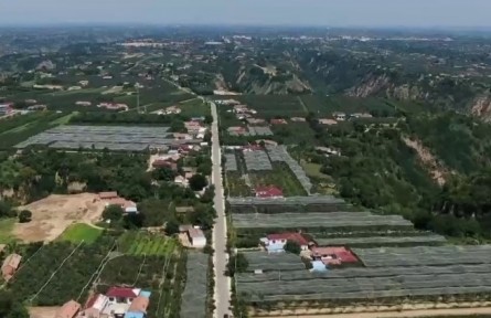 甘肃庆阳：深耕特色农业 聚力创建国家农业绿色发展先行区