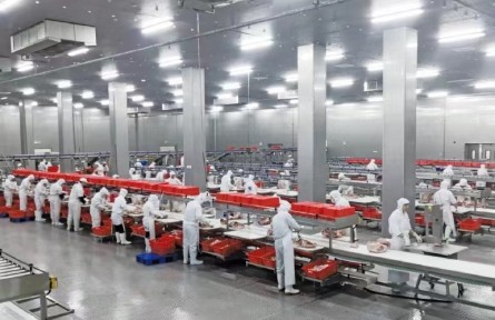 黑龙江：延长产业链 提升价值链 打造“粮头食尾”“农头工尾”先行地