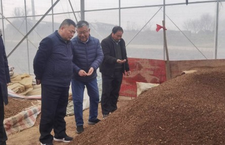 赵亚夫：育秧土“配方”助农增收致富