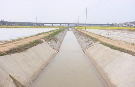 精打细算 看高标田“节水账”