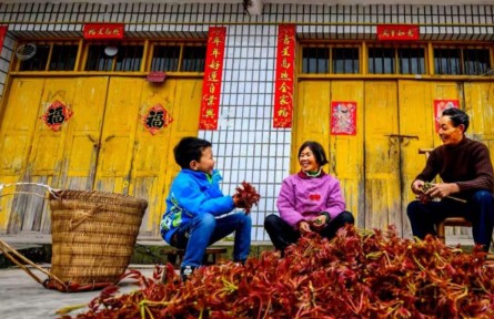 四川达州：春日游 万花吹满头
