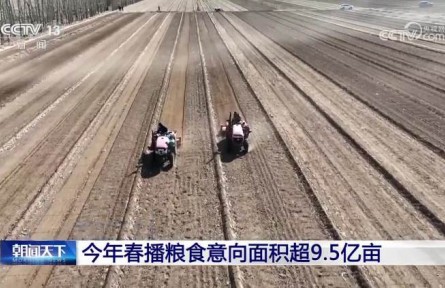 农业农村部：今年春播粮食意向面积超9.5亿亩