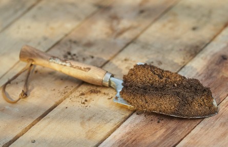 科技名词|土壤微生物生物量 soil microbial biomass