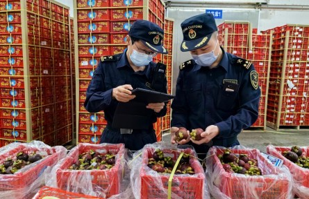 西部陆海新通道助力更多东盟水果进入中国市场