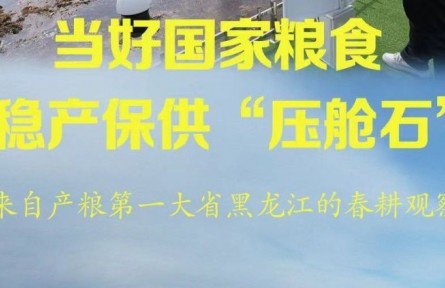 当好国家粮食稳产保供“压舱石”——来自产粮第一大省黑龙江的春耕观察