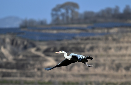 生态保护补偿条例 regulations governing ecological protection compensation