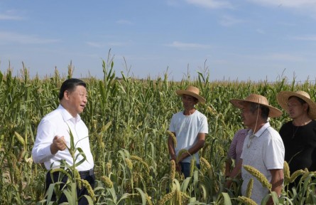 第一观察|习近平总书记田间地头话农事