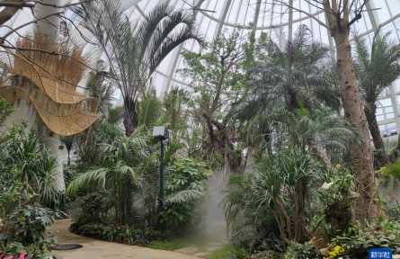 成都世园会：“神奇植物”在哪里？