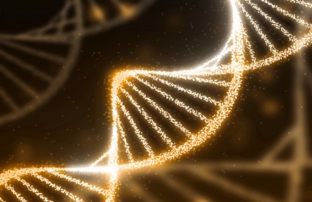 科技名词|重组修复 recombination repair
