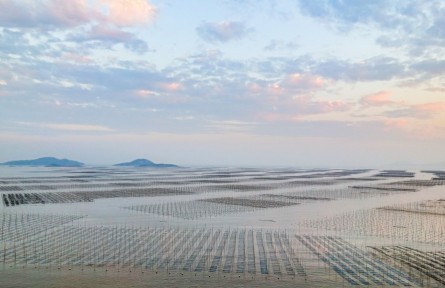 全链深耕“蓝色粮仓”，丰富“中国饭碗”