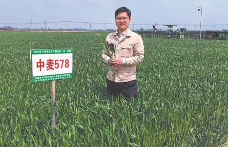 “新农人”蹚兴农路