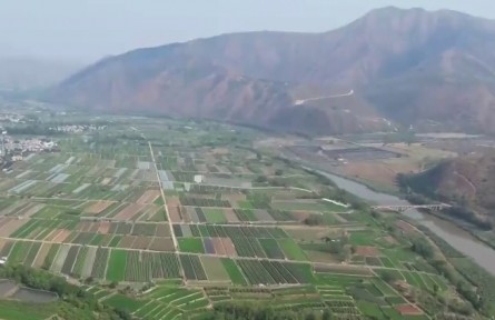 云南：发展特色产业 助力乡村全面振兴