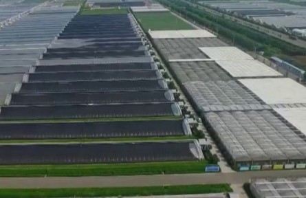 山东：全链条培育特色产业 助力农业提质增效