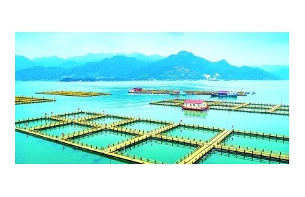 耕山牧海有“粮”策——福建牢记嘱托践行大食物观的探索