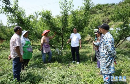 胡正明：丹心书写“耕耘志”，麻山深处“种树人”