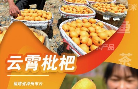 创意海报|“山海福建”的大食物观