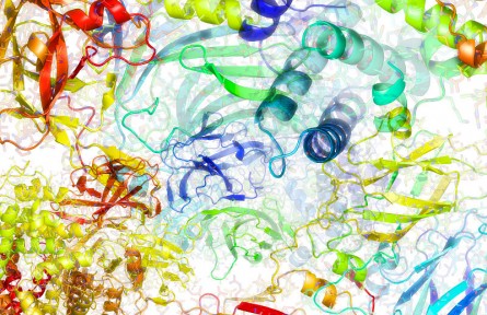 科技名词 | 重组蛋白质  recombinant protein